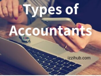 What are the 3 Types of Accountants in a company