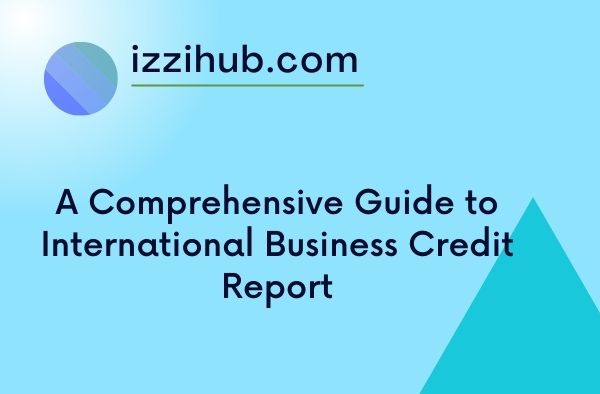 A Comprehensive Guide to International Business Credit Report