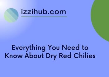 Everything You Need to Know About Dry Red Chilies